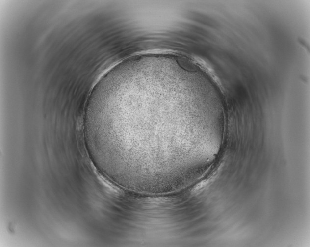 X0000093501425200710261129