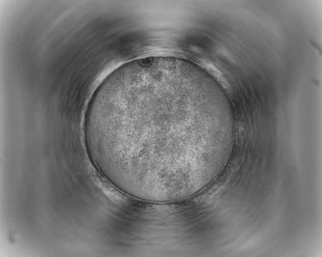 X0000093501427200710261129
