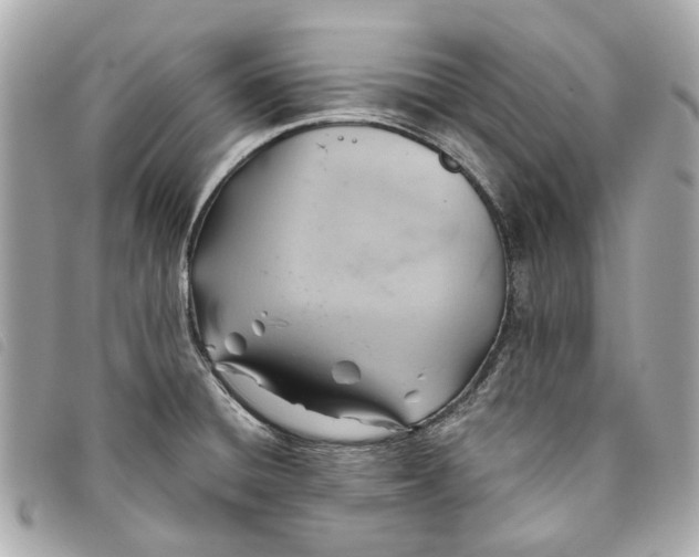 X0000093501428200710261129
