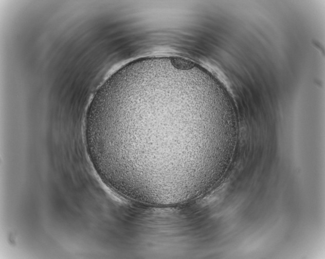 X0000093501429200710261129
