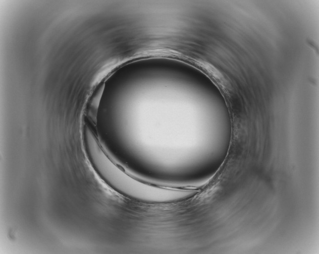 X0000093501430200710261129