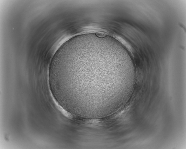 X0000093501431200710261129