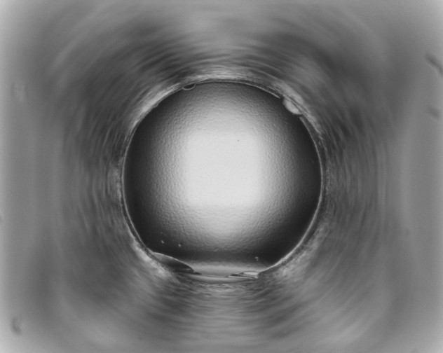 X0000093501433200710261129