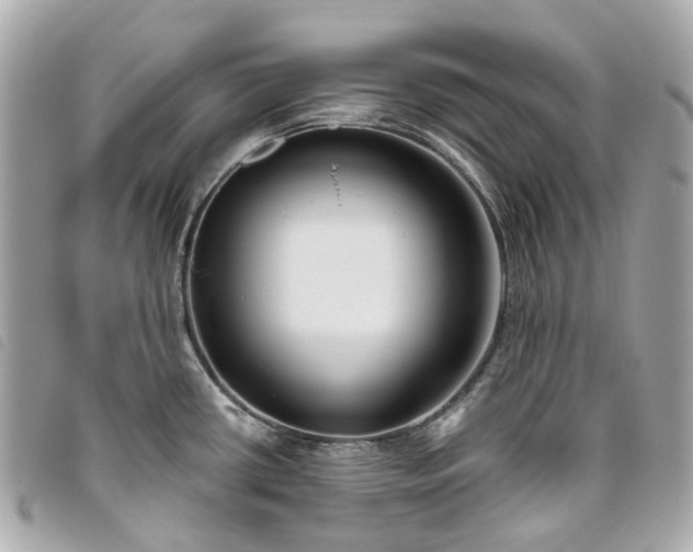 X0000093501434200710261129