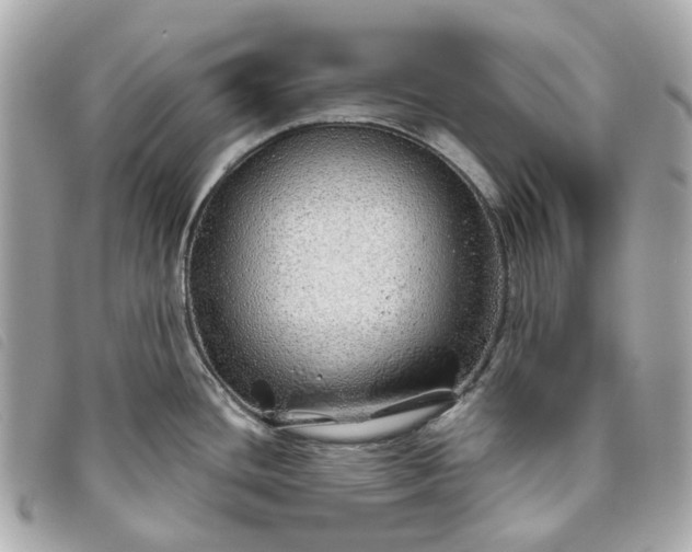 X0000093501436200710261129