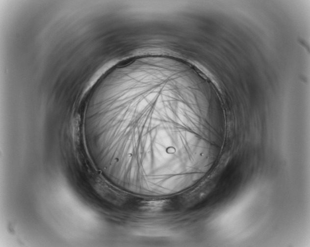 X0000093501438200710261129
