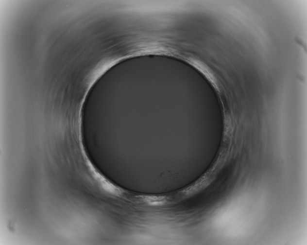 X0000093501439200710261129
