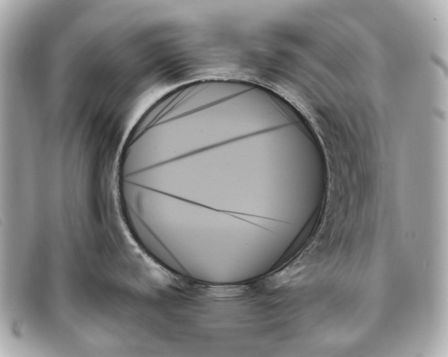 X0000093501440200710261129