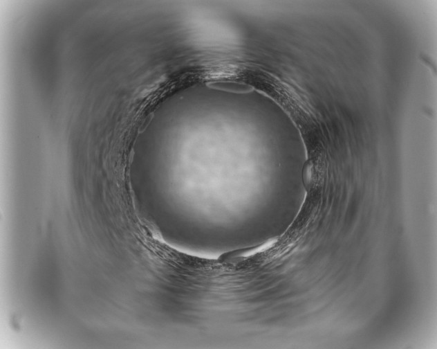 X0000093501441200710261129