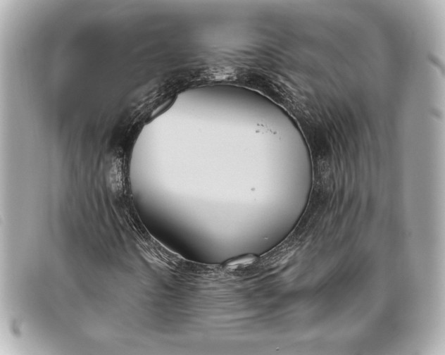 X0000093501442200710261129