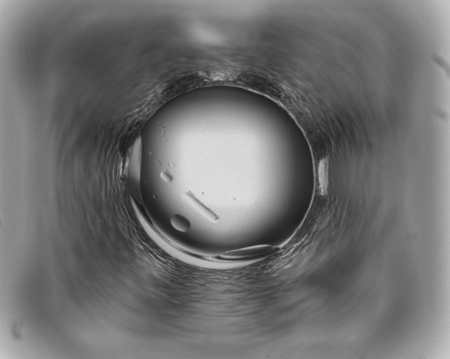 X0000093501443200710261129