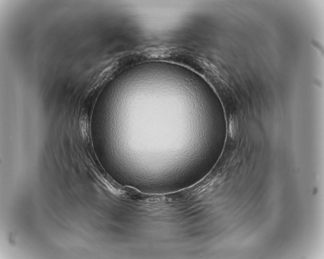 X0000093501444200710261129