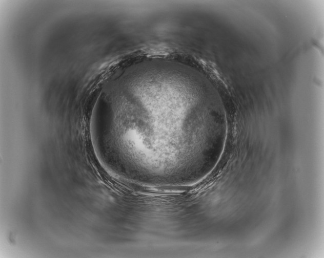 X0000093501445200710261129