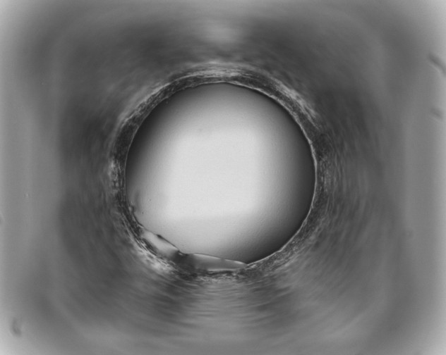 X0000093501448200710261129