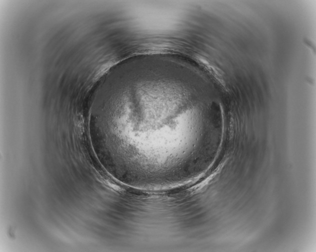 X0000093501449200710261128