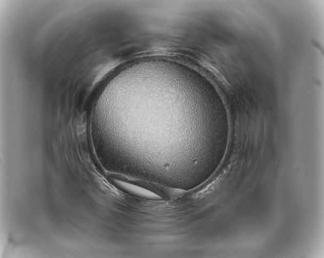 X0000093501450200710261128