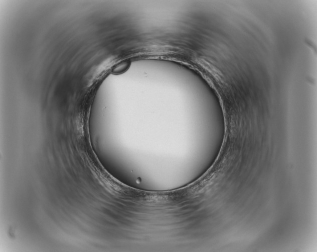 X0000093501451200710261128