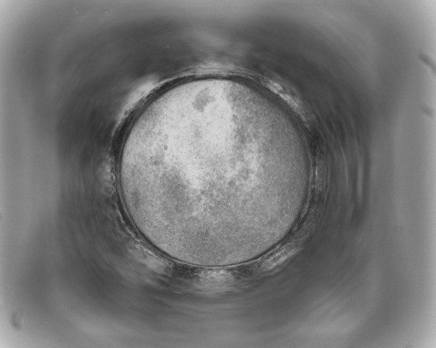 X0000093501454200710261128