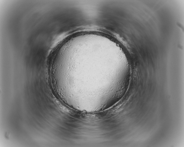 X0000093501456200710261128