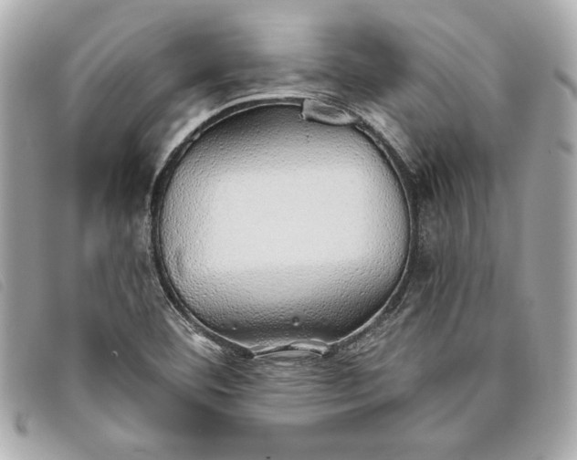 X0000093501460200710261128