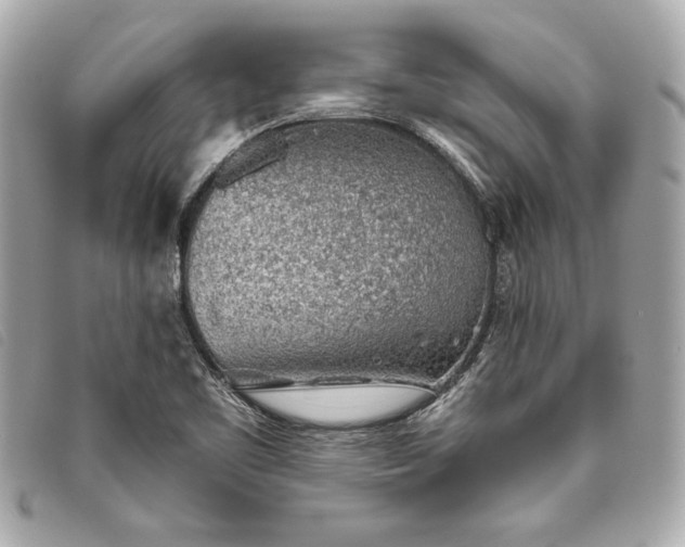 X0000093501461200710261128