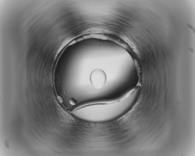 X0000093501465200710261128