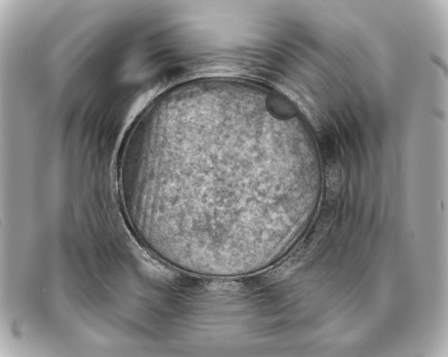 X0000093501466200710261128