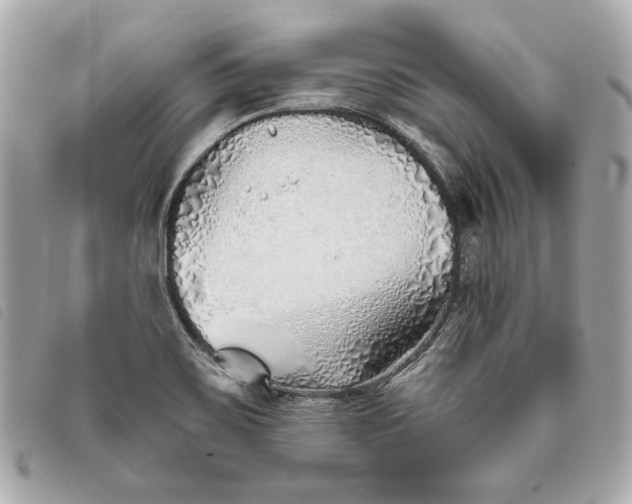X0000093501467200710261128