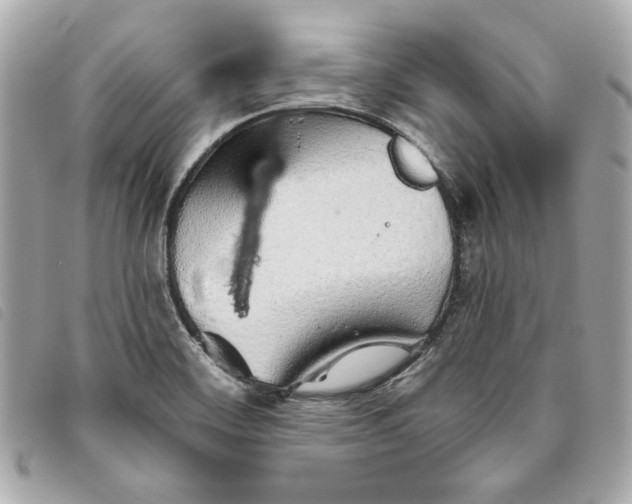 X0000093501468200710261128