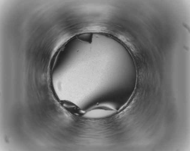X0000093501469200710261128