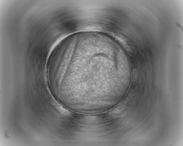 X0000093501470200710261128