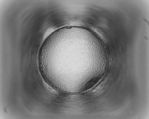 X0000093501471200710261128