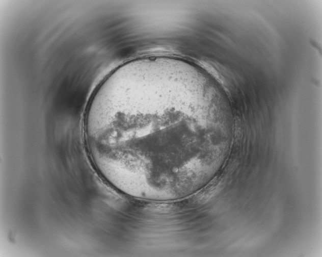 X0000093501474200710261128