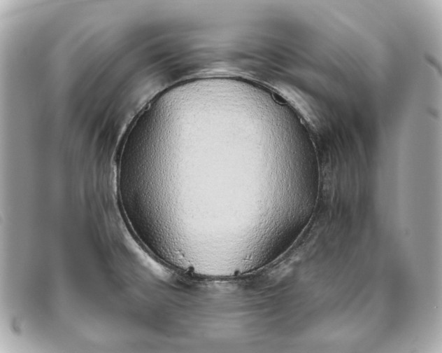 X0000093501476200710261128