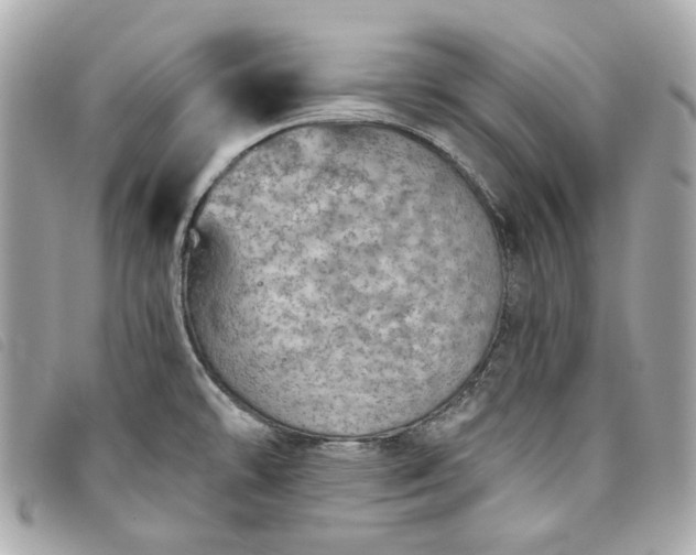 X0000093501478200710261128