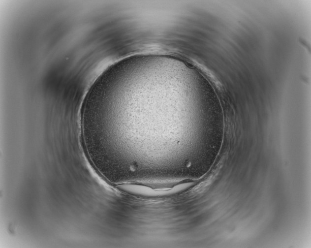 X0000093501479200710261128
