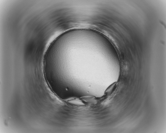 X0000093501480200710261128