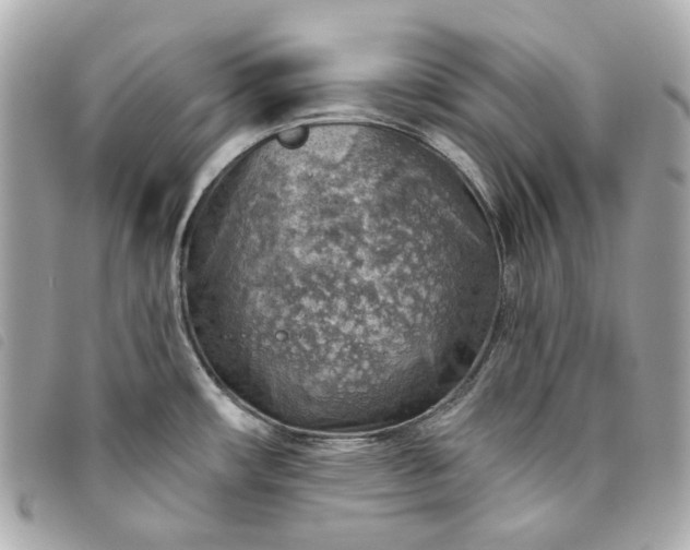 X0000093501482200710261128