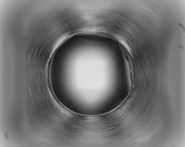 X0000093501483200710261128