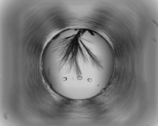 X0000093501485200710261128