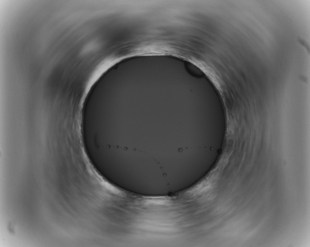 X0000093501486200710261128