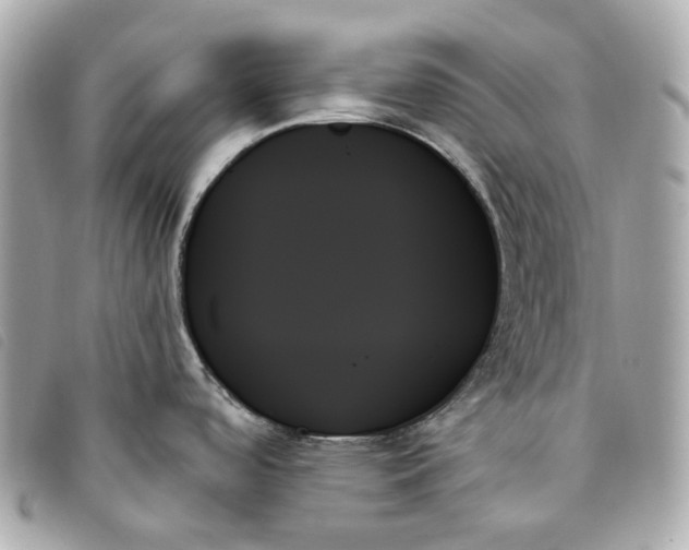 X0000093501488200710261128