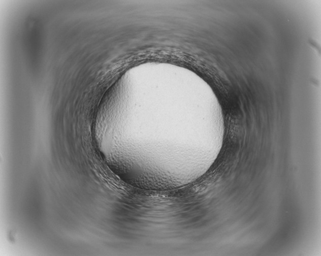 X0000093501489200710261127