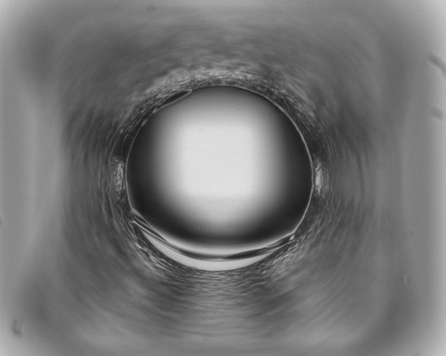 X0000093501492200710261127