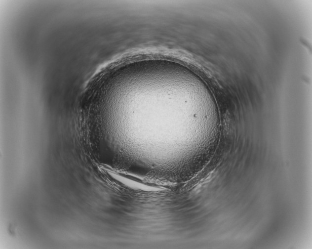 X0000093501494200710261128