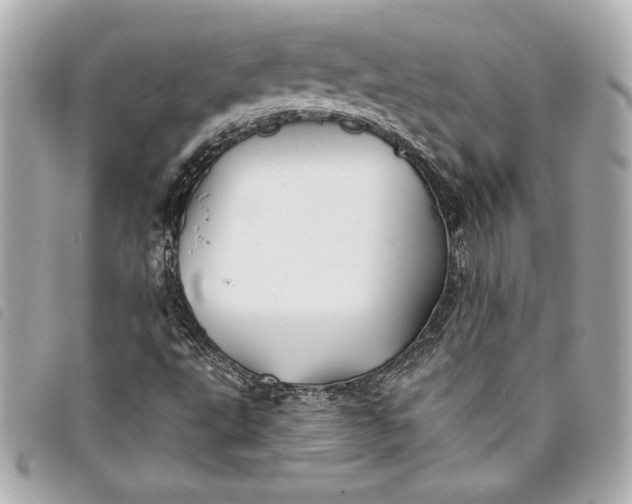 X0000093501495200710261128