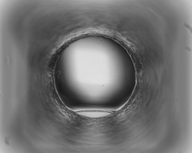 X0000093501496200710261128