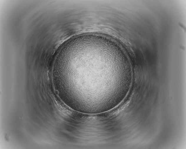 X0000093501497200710261128