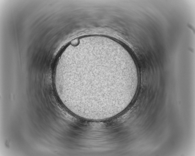 X0000093501498200710261128