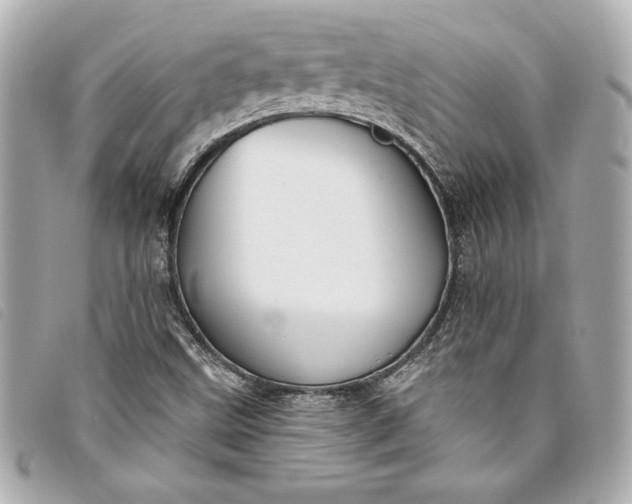 X0000093501499200710261128